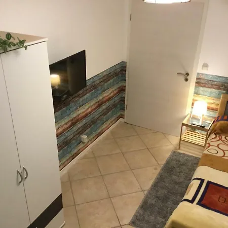 Braun17 *