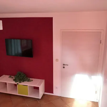 Braun17 *